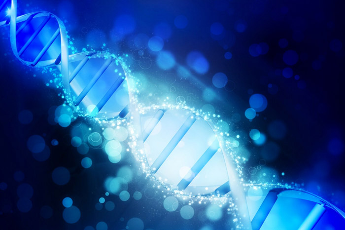 事業(yè)因人才而興，人才因事業(yè)而聚